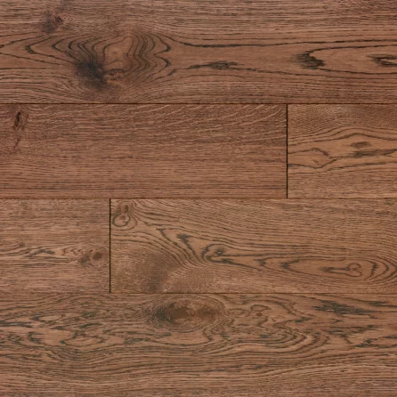 Polskie Dęby - Dąb Ametyst