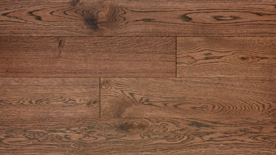 Polskie Dęby - Dąb Ametyst