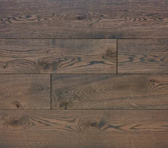 Polskie Dęby - Dąb Szmaragd