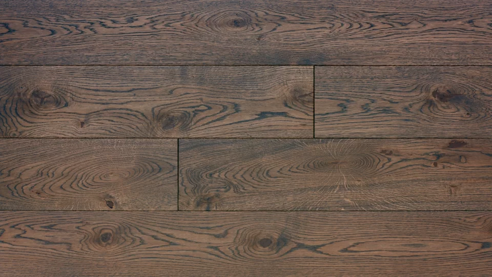 Polskie Dęby - Dąb Szmaragd