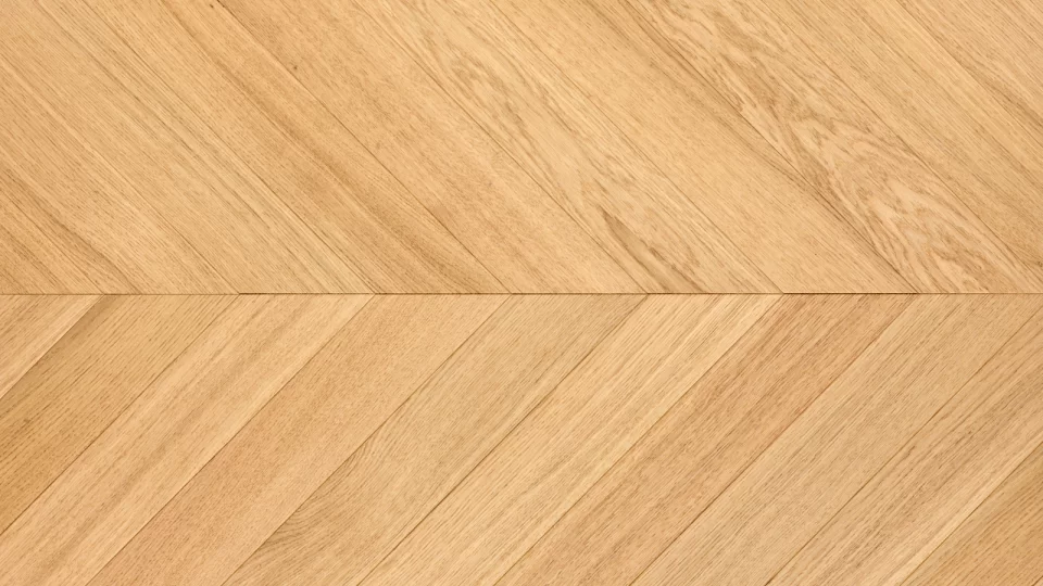 Polskie Dęby - Dąb Topaz