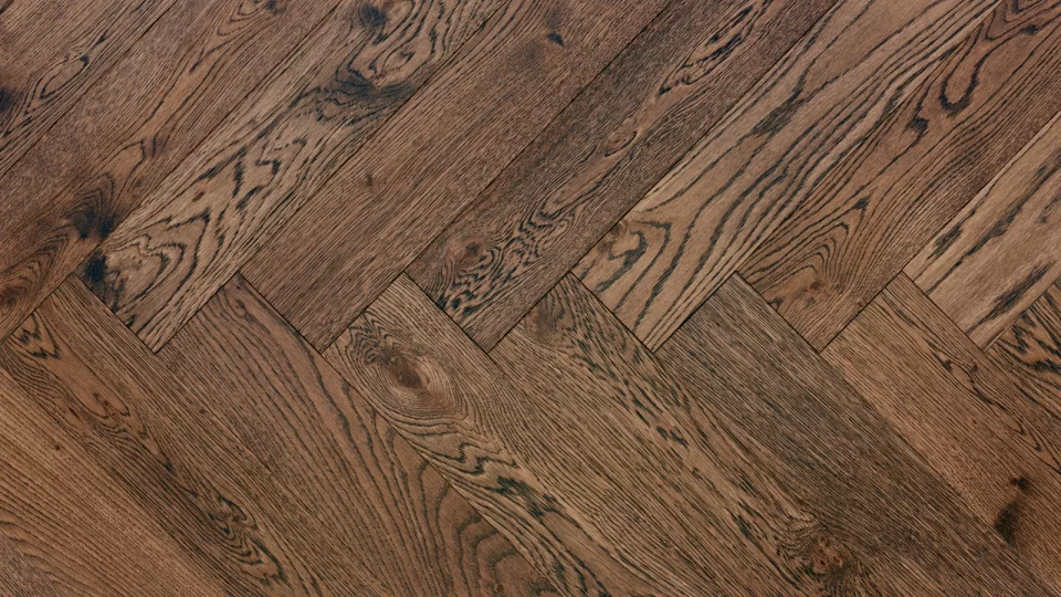 Polskie Dęby - Dąb Lapis