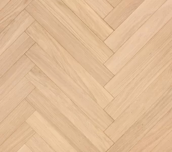 Polskie Dęby - Dąb Opal