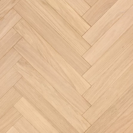 Polskie Dęby - Dąb Opal