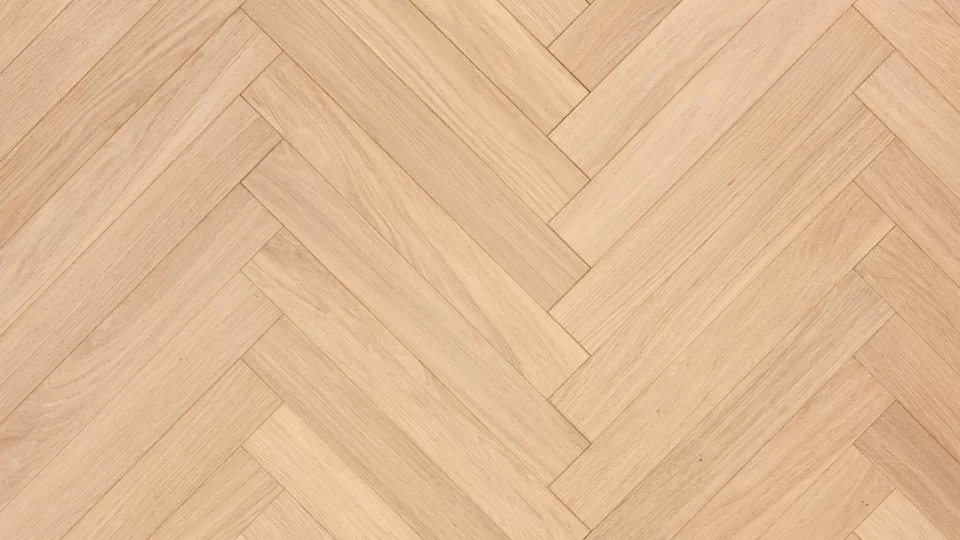 Polskie Dęby - Dąb Opal