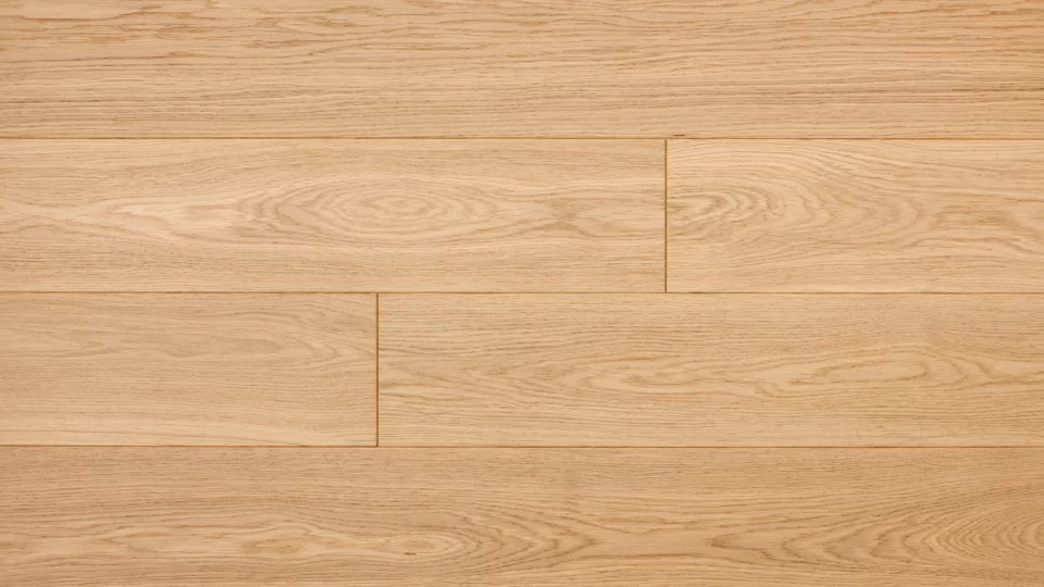 Polskie Dęby - Dąb Piaskowy