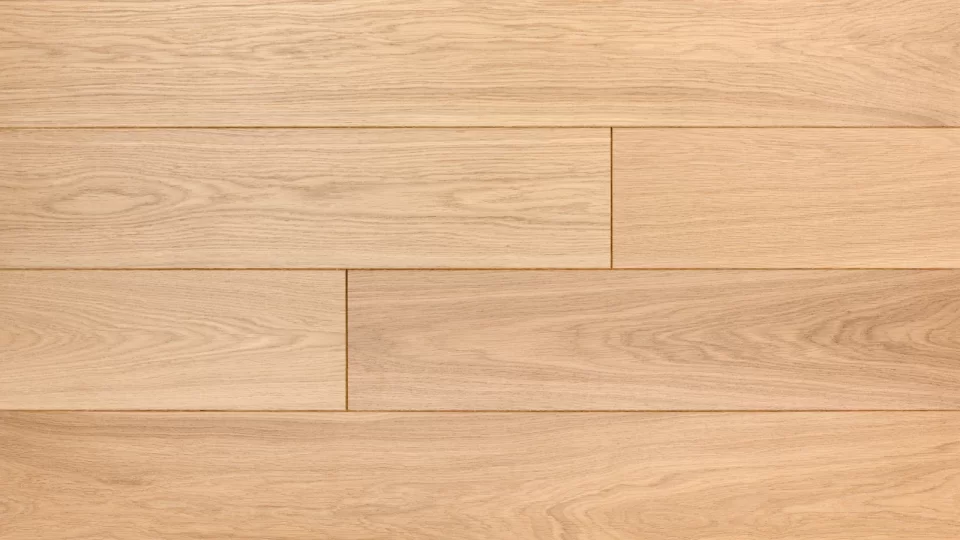 Polskie Dęby - Dąb Diament