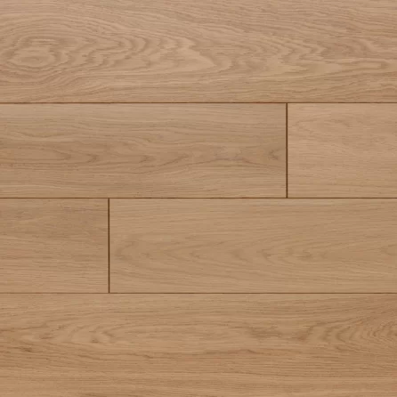 Polskie Dęby - Dąb Malachit