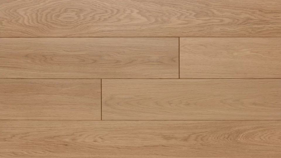 Polskie Dęby - Dąb Malachit