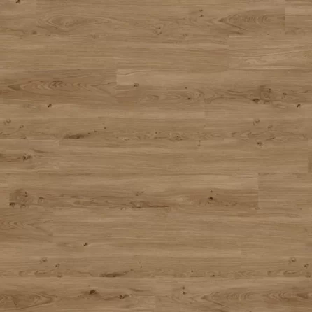 Vinyl Techlab Dawn 2 Dusk Dąb Hazelnut GD - do przyklejenia