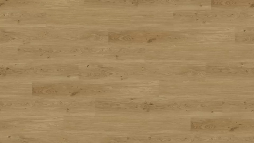 Vinyl Techlab Dawn 2 Dusk Dąb Wheat GD - do przyklejenia