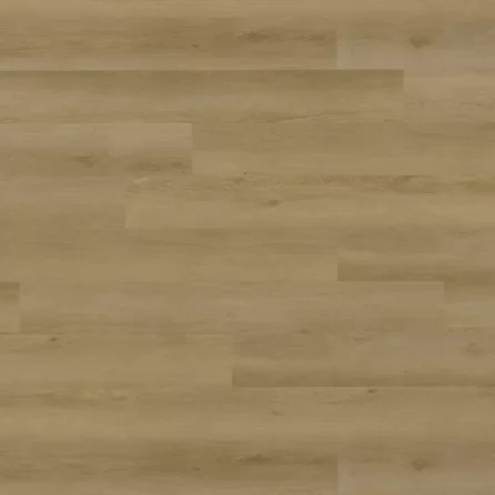 Vinyl Techlab Woodlands Dąb Almond GD - do przyklejenia