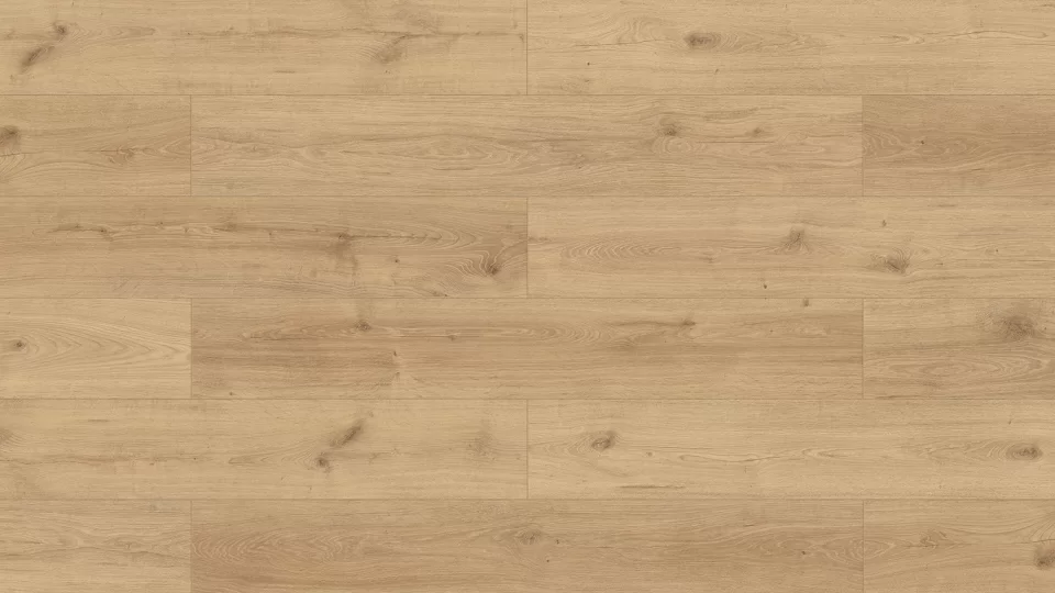 Sensa - Dąb Sonolta