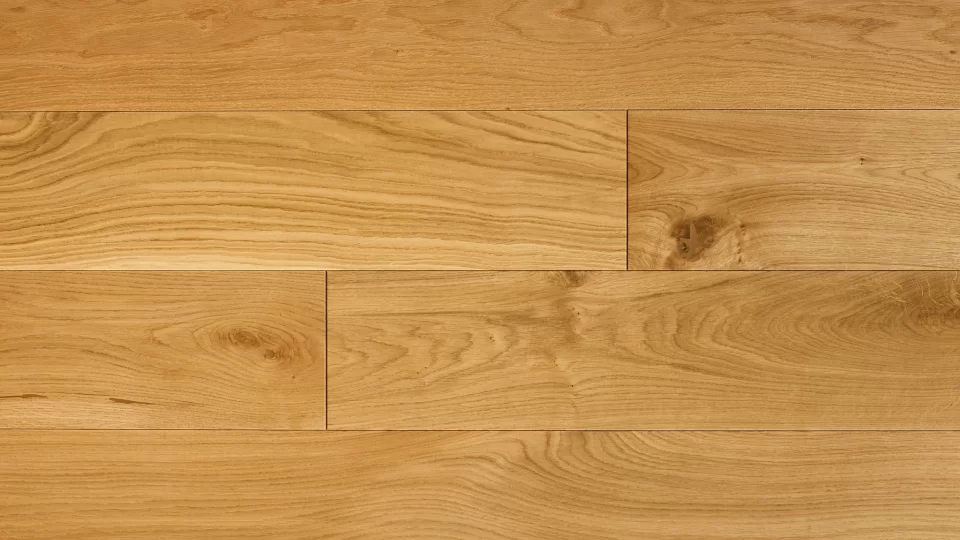 Polskie Dęby - Dąb Rycerski