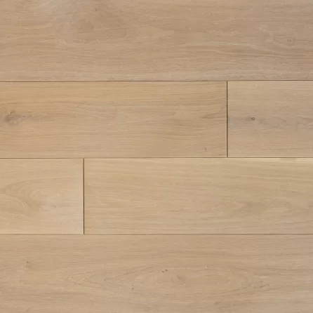 Polskie Dęby - Dąb Wawelski