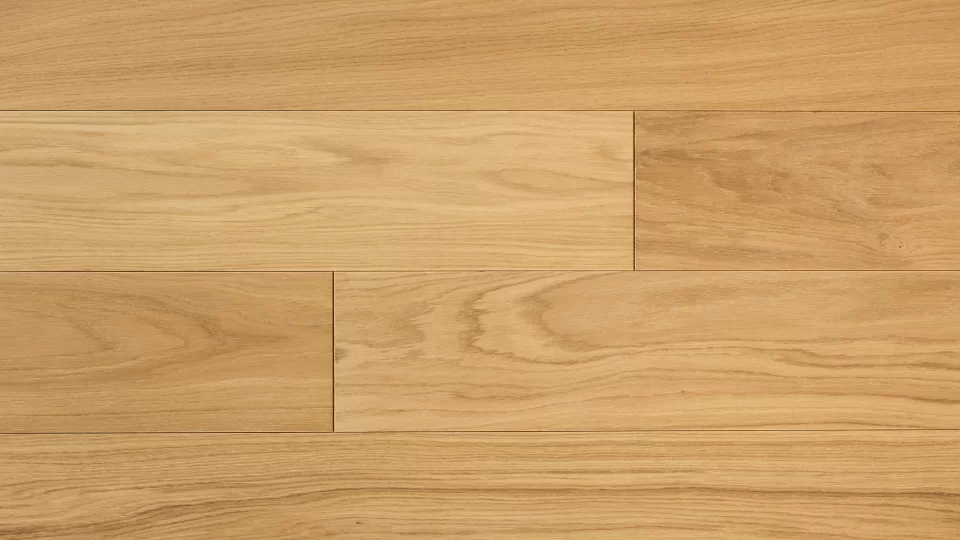 Polskie Dęby - Dąb Hetmański