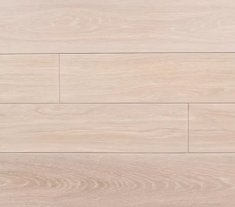 Polskie Dęby - Dąb Jasny