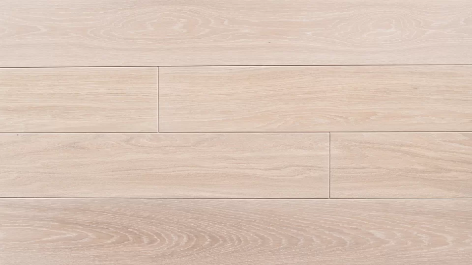 Polskie Dęby - Dąb Jasny