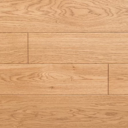 Polskie Dęby - Dąb Klasyczny