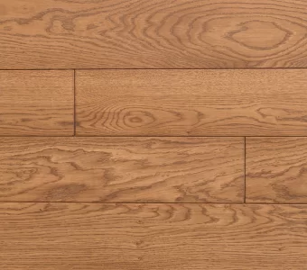 Polskie Dęby - Dąb Książęcy