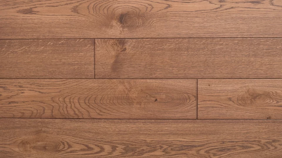 Polskie Dęby - Dąb Pałacowy