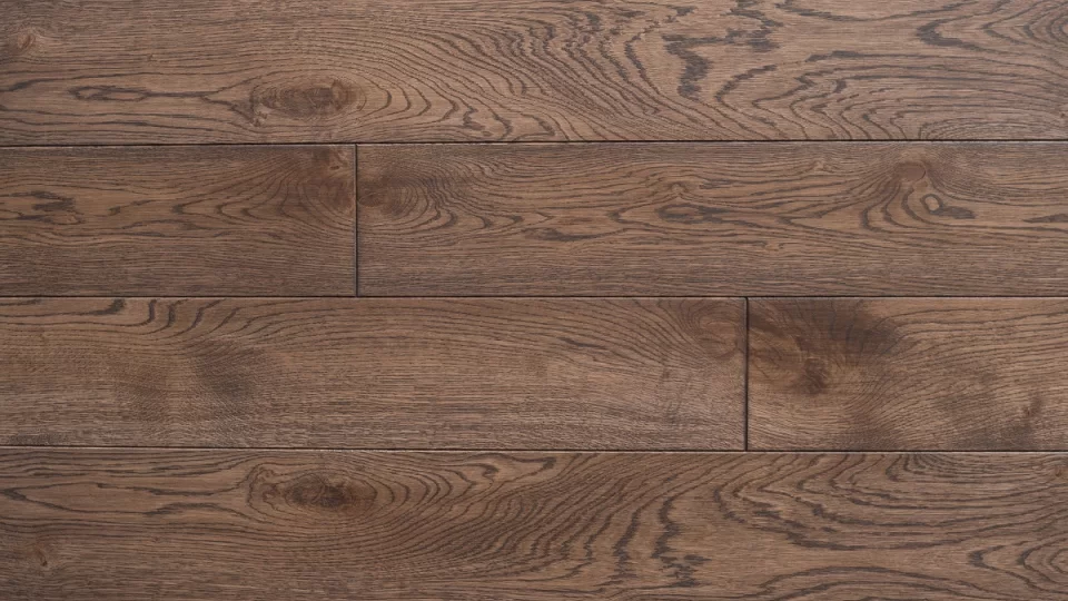 Polskie Dęby - Dąb Retro