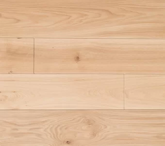 Polskie Dęby - Dąb Srebrzysty