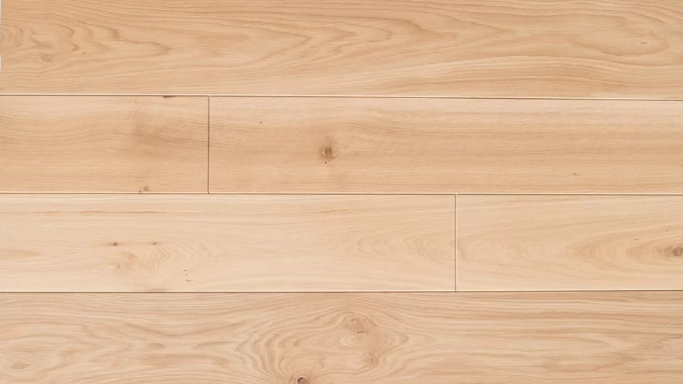 Polskie Dęby - Dąb Srebrzysty