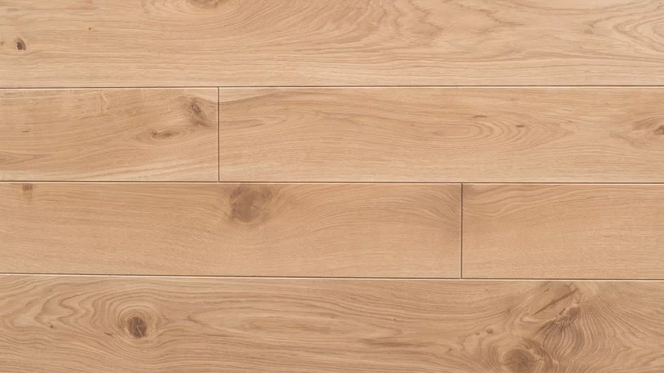 Polskie Dęby - Dąb Staropolski