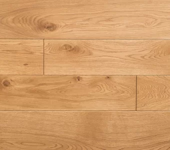 Polskie Dęby - Dąb Szlachecki