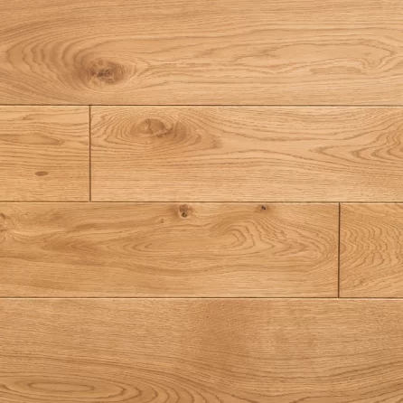 Polskie Dęby - Dąb Szlachecki