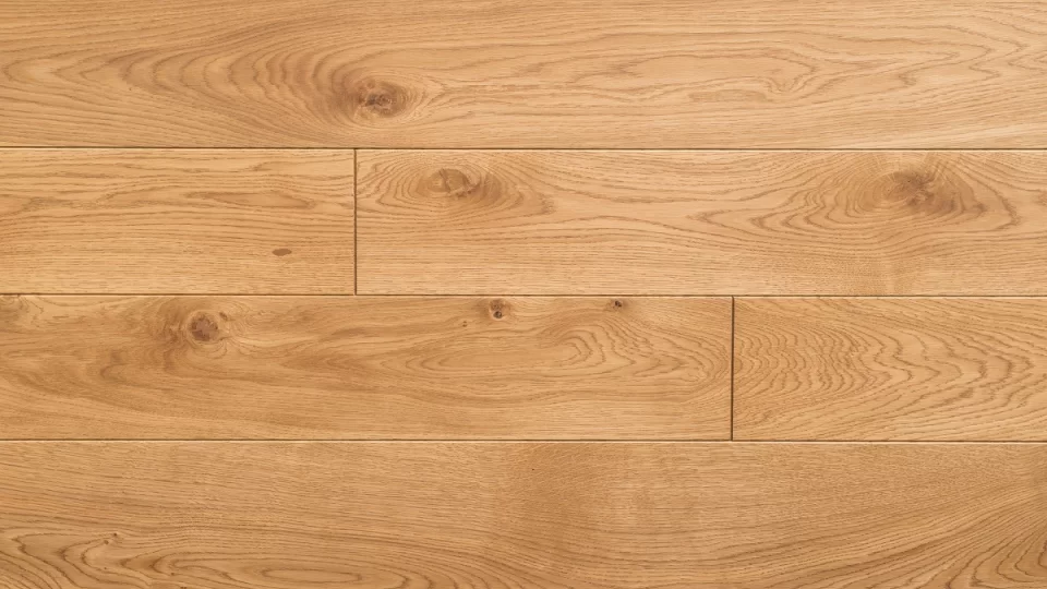 Polskie Dęby - Dąb Szlachecki