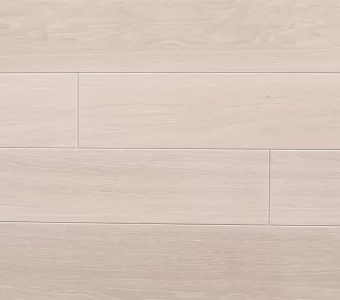 Polskie Dęby - Dąb Wapienny