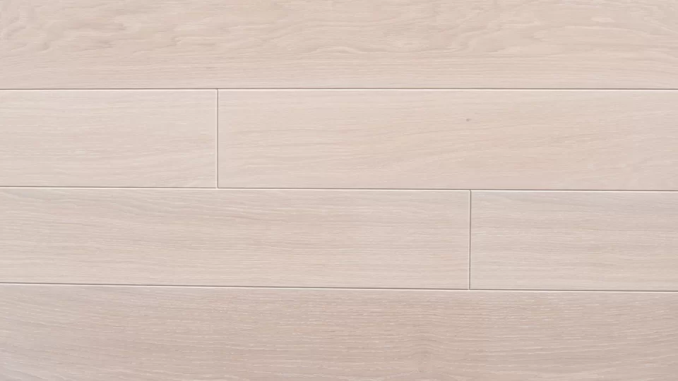 Polskie Dęby - Dąb Wapienny