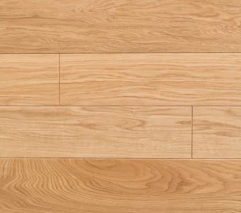 Polskie Dęby - Dąb Złocisty