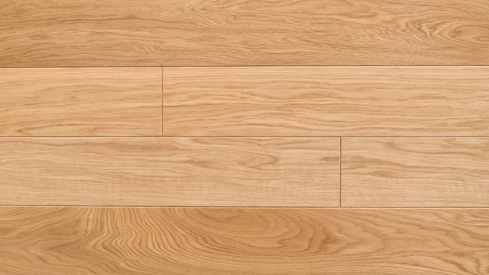 Polskie Dęby - Dąb Złocisty