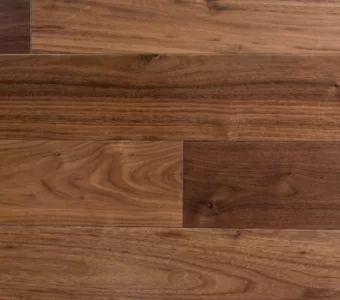 Orzech Północno Amerykański