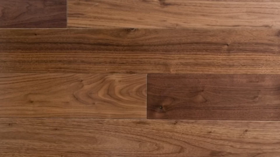 Orzech Północno Amerykański