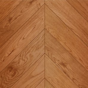 Jodła Francuska Dąb Amber