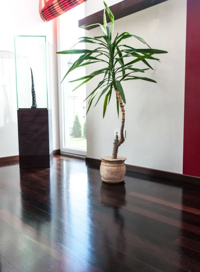 EXO Line Wenge 9