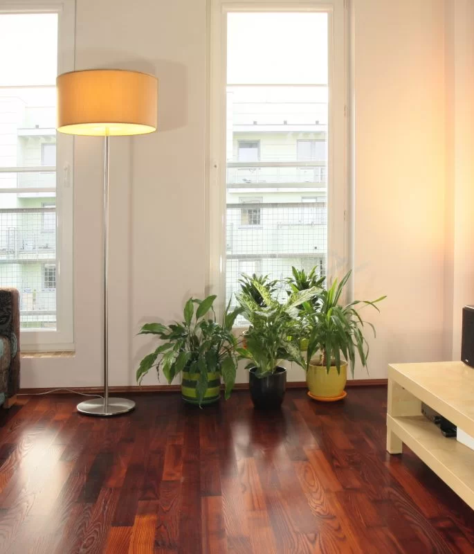 Finish Parkiet Jesion Bursztyn