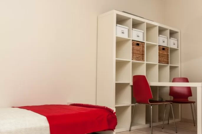 Finish Parkiet Jesion Bielony