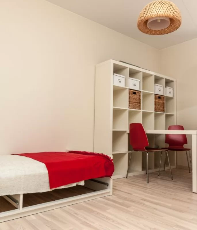 Finish Parkiet Jesion Bielony