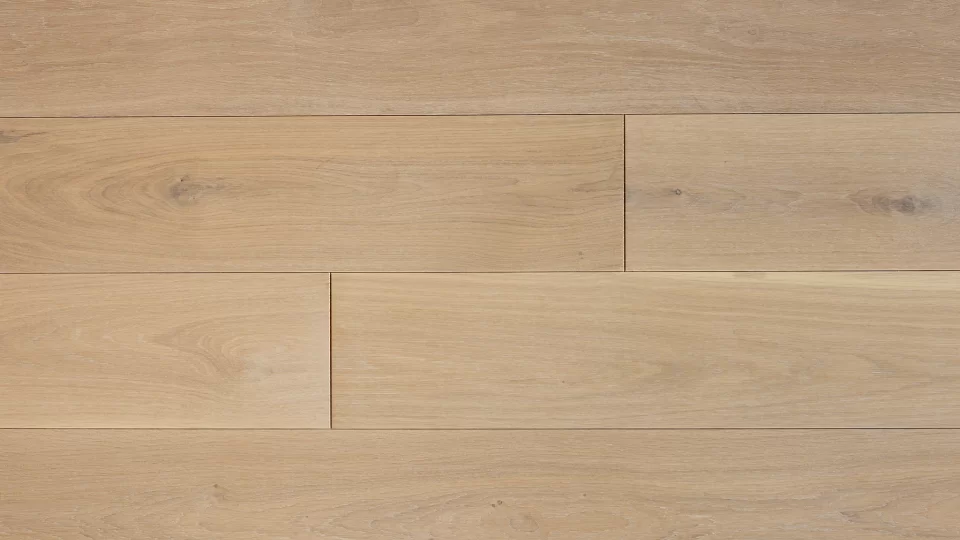 Polskie Dęby - Dąb Wawelski