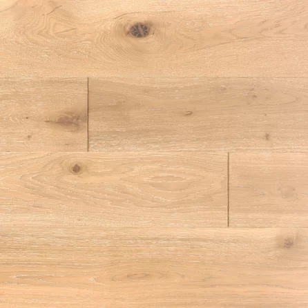 Polskie Dęby - Dąb Magnacki