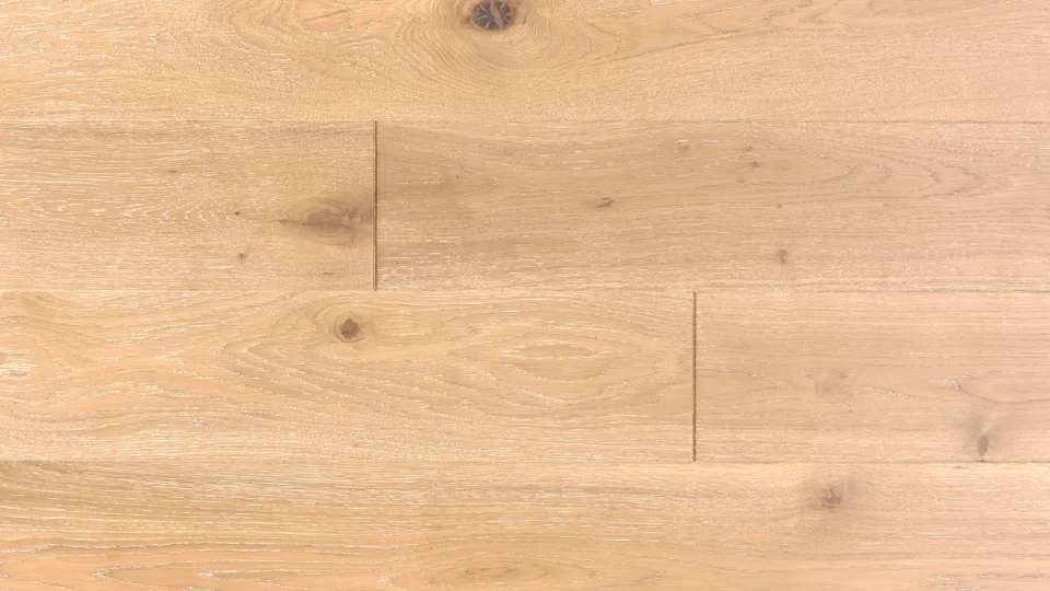 Polskie Dęby - Dąb Magnacki