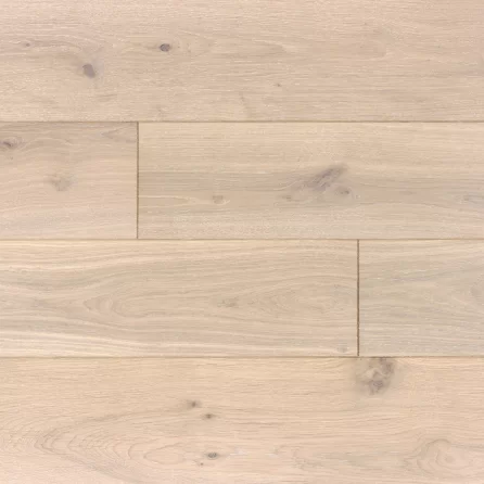 Polskie Dęby - Dąb Prowansalski