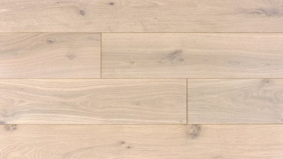 Polskie Dęby - Dąb Prowansalski