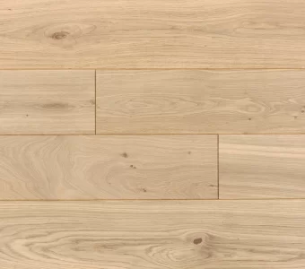 Polskie Dęby - Dąb Loftowy