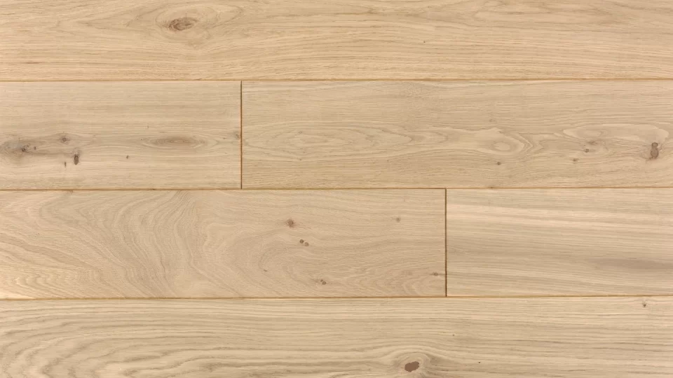 Polskie Dęby - Dąb Loftowy